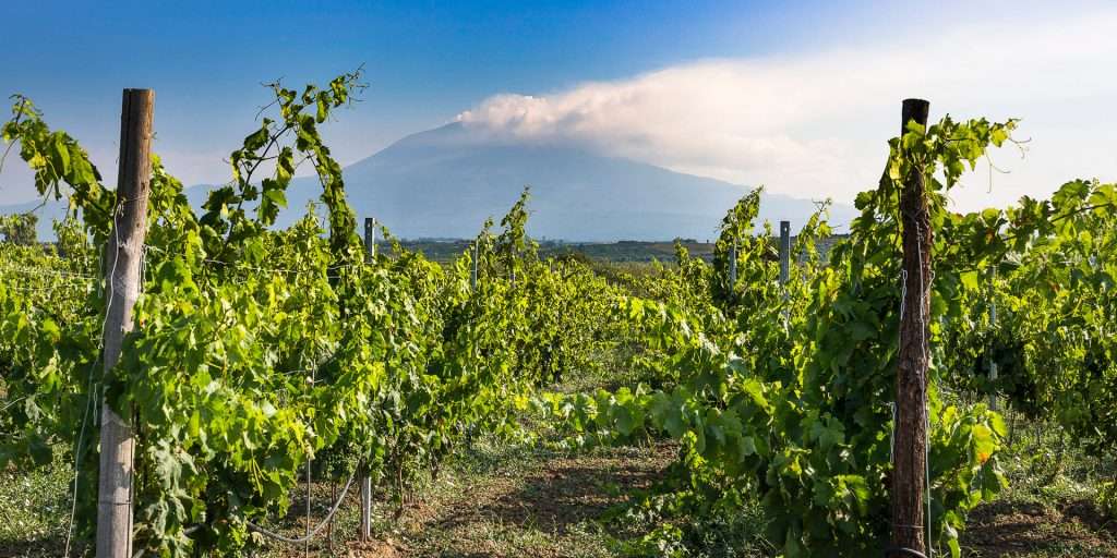 Etna & Wine